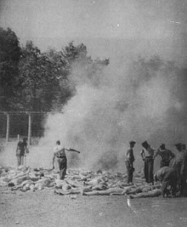 Nazi soldiers stepping over smouldering heap of corpses